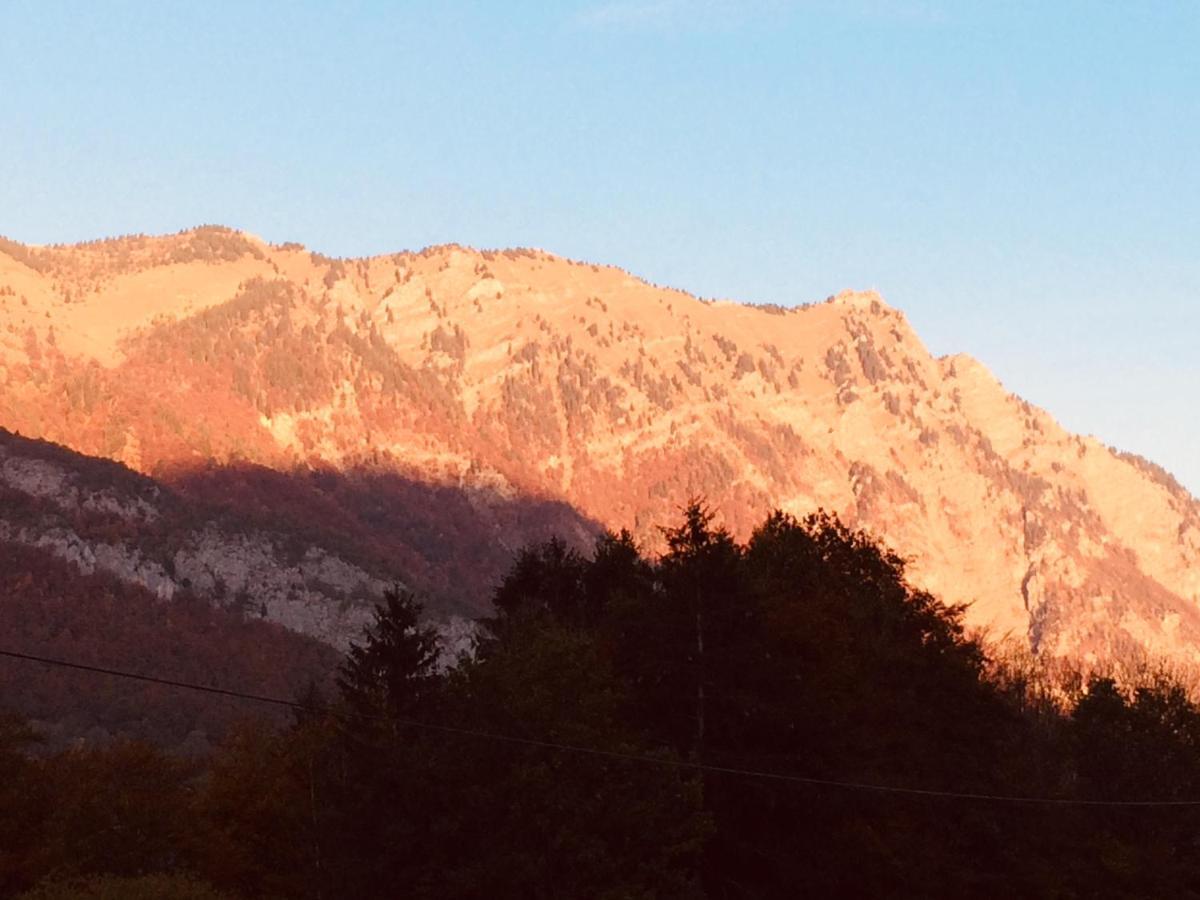 Chalet Aux 3 Biches Mieussy Bagian luar foto