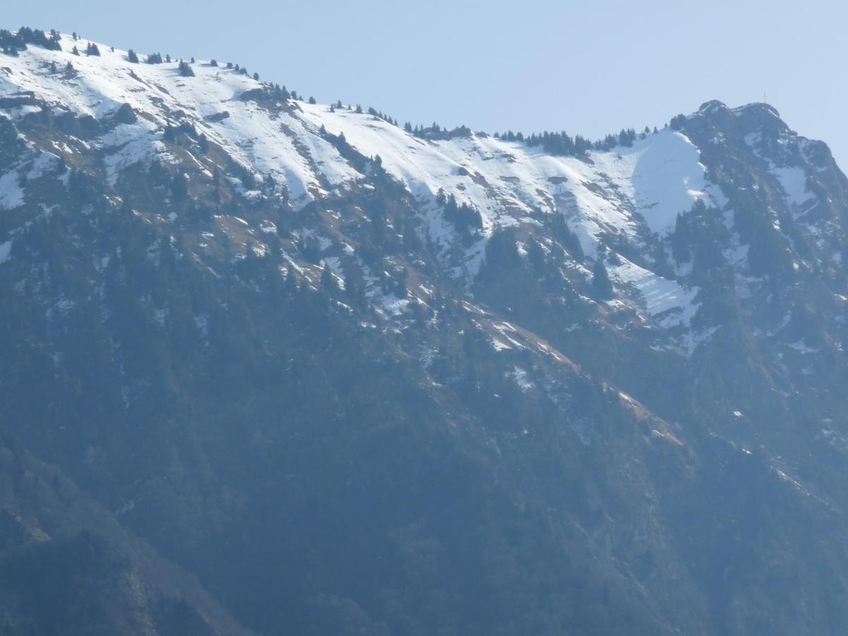 Chalet Aux 3 Biches Mieussy Bagian luar foto